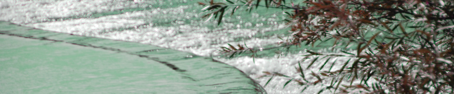 HEADER-GENERIQUE